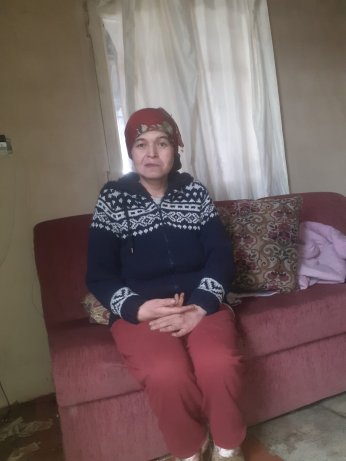 Erdoğan biatçıları Hürriyet’te sokak kedisi zehirledi