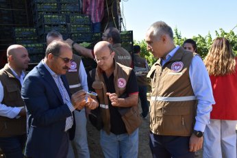 Diyabetli dostu üzüm sofralarda yerini aldı