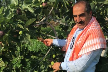 Dünya sofraları incirlenecek