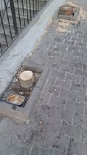 Halkımız: Yerinize gelecek olan sizi ağaçlar gibi mi halletmeli!