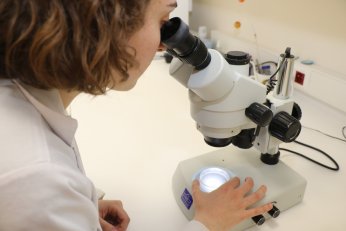 Sanayiyle iç içeyiz. Alanımızda en iyisi biziz