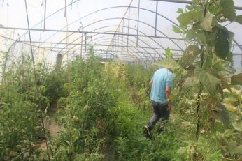 Derince’de ürettiğini  Çayırova’da satacak