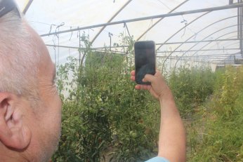 Derince’de ürettiğini  Çayırova’da satacak