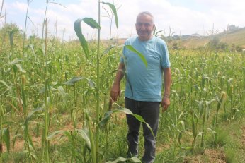 Derince’de ürettiğini  Çayırova’da satacak