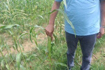 Derince’de ürettiğini  Çayırova’da satacak