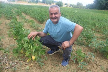 Derince’de ürettiğini  Çayırova’da satacak