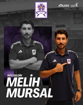 Stoper Mursal, sağ kanat Koçaklı ve golcü Pektemek Gebzespor’da