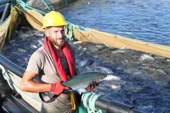 Bu filmin başrolünde  Türk somonu oynadı