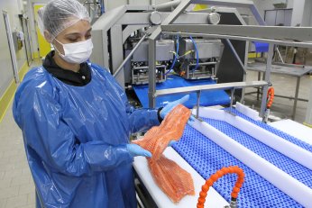 Bu filmin başrolünde  Türk somonu oynadı