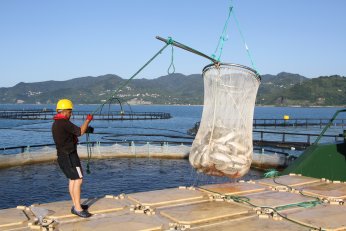 Bu filmin başrolünde  Türk somonu oynadı
