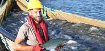 Bu filmin başrolünde  Türk somonu oynadı