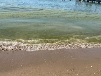 Bayramoğlu Plajı'na mavi bayrak temizliği mümkün mü?