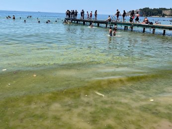 Bayramoğlu Plajı'na mavi bayrak temizliği mümkün mü?