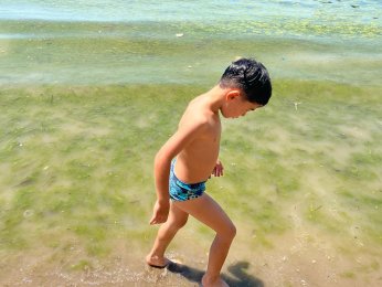 Bayramoğlu Plajı'na mavi bayrak temizliği mümkün mü?