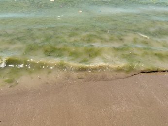 Bayramoğlu Plajı'na mavi bayrak temizliği mümkün mü?