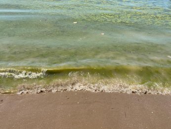 Bayramoğlu Plajı'na mavi bayrak temizliği mümkün mü?