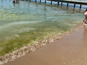 Bayramoğlu Plajı'na mavi bayrak temizliği mümkün mü?