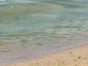 Bayramoğlu Plajı'na mavi bayrak temizliği mümkün mü?