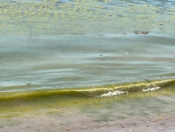 Bayramoğlu Plajı'na mavi bayrak temizliği mümkün mü?