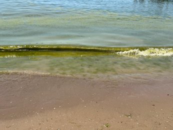 Bayramoğlu Plajı'na mavi bayrak temizliği mümkün mü?