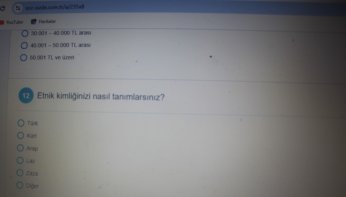 Şehir anketinde etnik kimlik soruldu