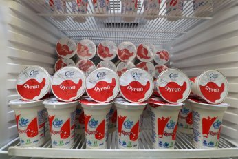 Adaylık için çok erken. Taşköprü için hemen!