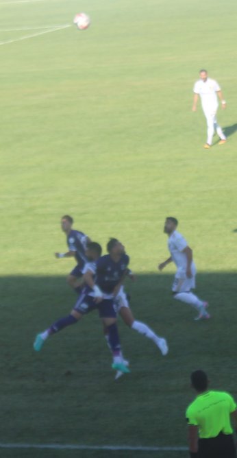 At Mustafa at.  Tut Furkan tut 