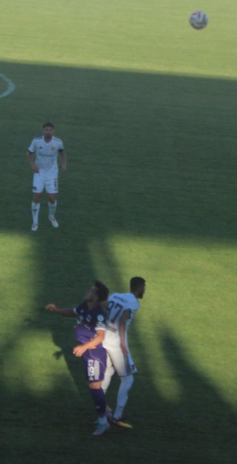 At Mustafa at.  Tut Furkan tut 