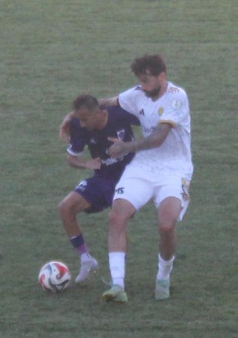 At Mustafa at.  Tut Furkan tut 