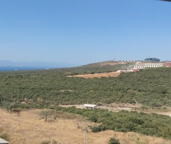 TÜBİTAK MAM arazisinde  “sahibi meçhul” yeşil kıyım!