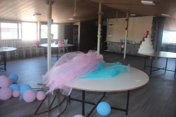 Şimal Altunlu iş hayatına  ikisi bir arada atılıyor