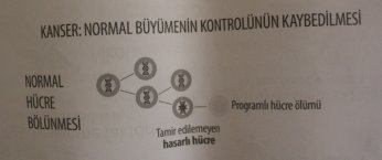 Kanserin kadını erkeği ayıbı bulaşısı yok!