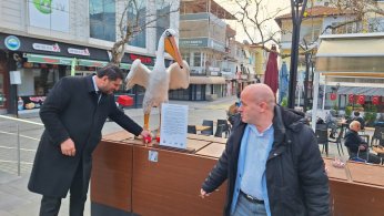 Dünya’ya uyarı: Türler  ve doğa yok olabilir 