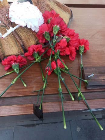 Dünya’ya uyarı: Türler  ve doğa yok olabilir 