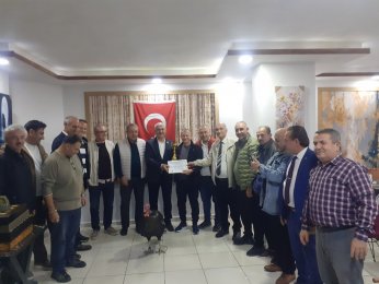 Hindi aşkına tavlada Trabzon finali 