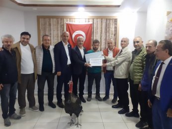 Hindi aşkına tavlada Trabzon finali 