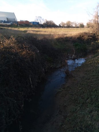Çevre faciasında kovuşturmaya gerek duyulmadı