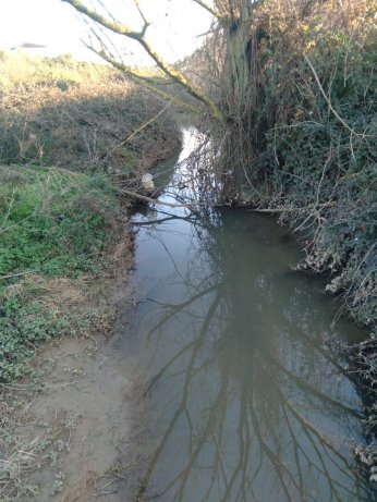 Çevre faciasında kovuşturmaya gerek duyulmadı