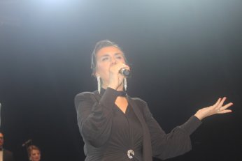 Elveda diyemem ki deseydi iyiydi