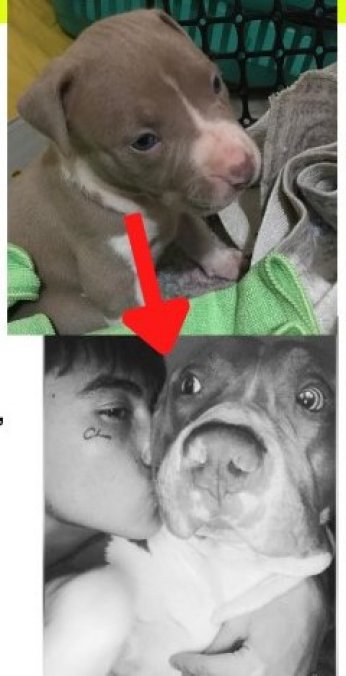 Pablo ailesine teslim edilsin