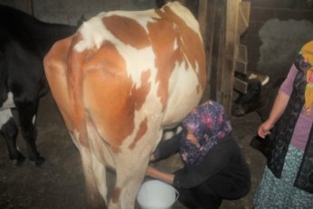 TOKİ usulü çözüm: 2+1 daire TEFE TÜFE 18 milyon TL 