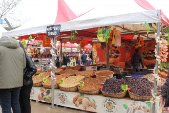 Hamsi Festivalinde final Selçuk Balcı ile