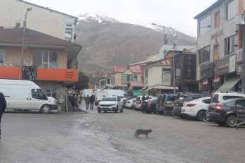 Varto’da tarım ve hayvancılığa geri dönülmeli