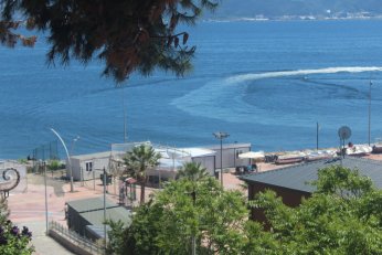 Belediye balıkçıları 2018’den beri istememiş