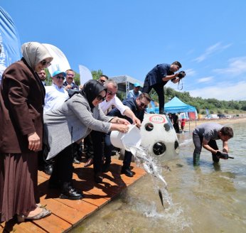 Bu yıl ilk kez Mersin Balığı da bırakıldı