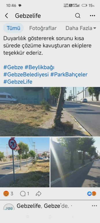 Kaldırıma ağaç diken belediye budadı diye alkışlandı