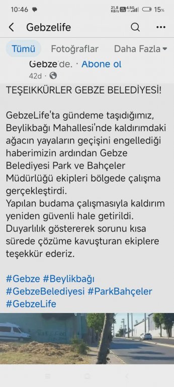 Kaldırıma ağaç diken belediye budadı diye alkışlandı