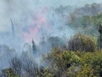 Özerk statülü Çakma OSB’de  10 hektar orman yandı bitti kül oldu