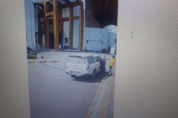 KYK yurdundaki küpeli köpekler toplandı