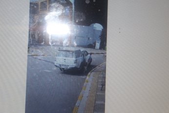 KYK yurdundaki küpeli köpekler toplandı